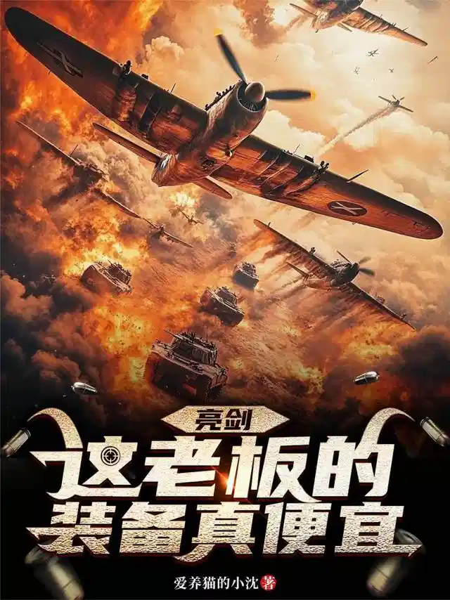 亮剑：这老板的装备真便宜！