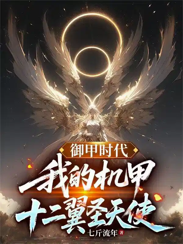 御甲时代：我的机甲十二翼圣天使