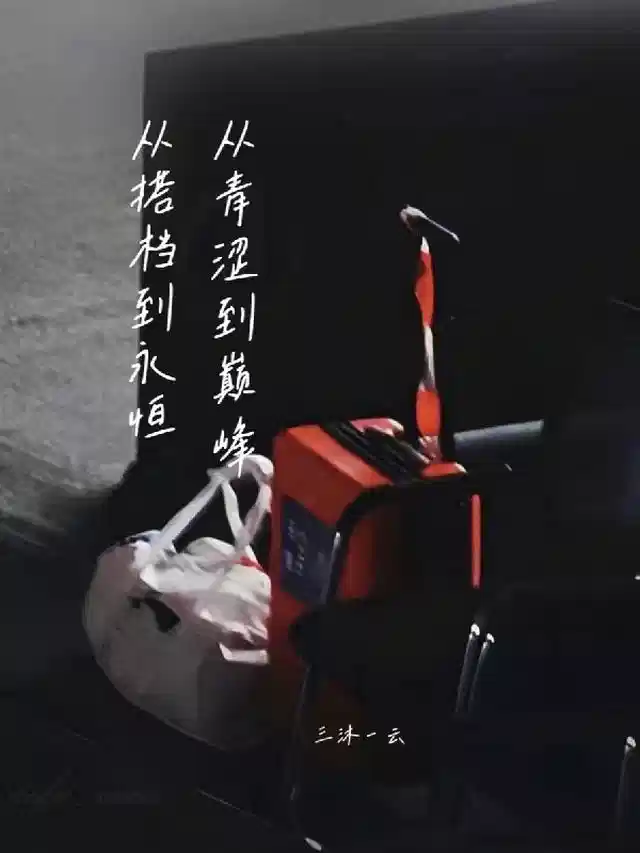 从青涩到巅峰，从搭档到永恒